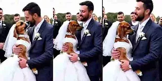 A man married a dog