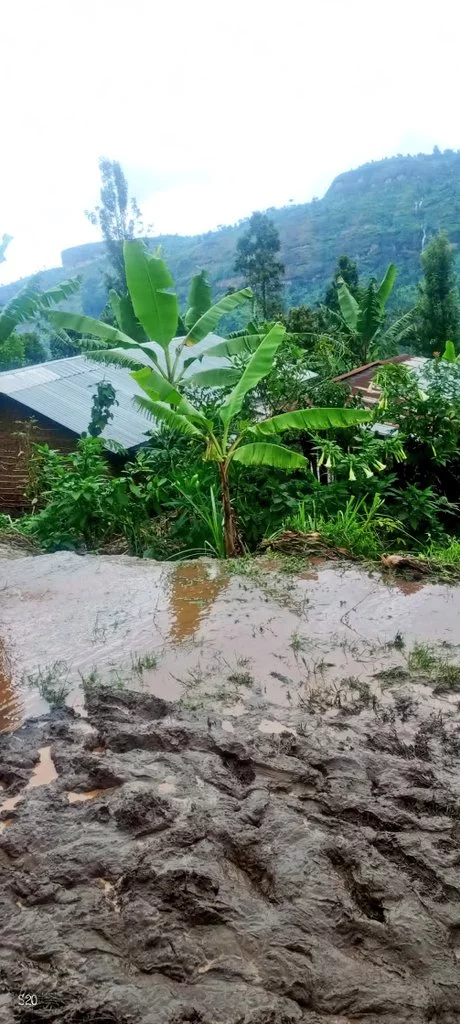 BULAMBULI MUDSLIDE UPDATE: 15 Bodies Retrieved, 15 Injured People Rescued And Rushed to Hospital, 113 Still missing.